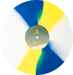 Born Without Bones - Dancer