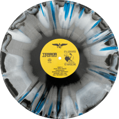 Terror - Pain Into Power